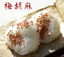 紀州南高梅干通販専門店のとってもおいしい梅ゴマ
